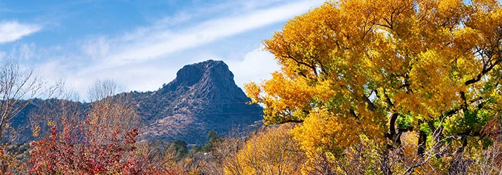 Rocky mountain peak in the background under a bright blue sky, with vibrant autumn trees